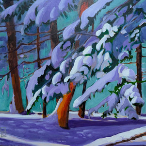 The Weight of Winter Snow