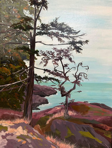Metchosin Viewpoint