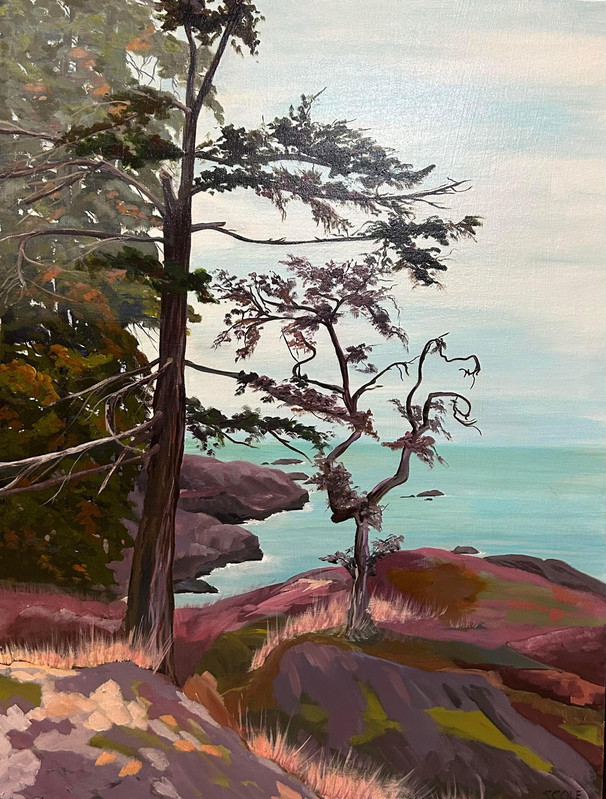 Metchosin Viewpoint
