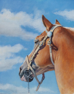 Fair Day-Blue Skies