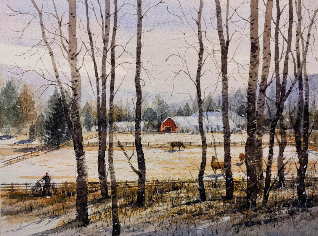 Pitt Meadows after snow