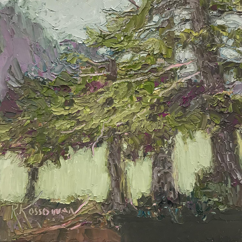 West Coast Cedars