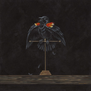 For Whom The Bird Calls
