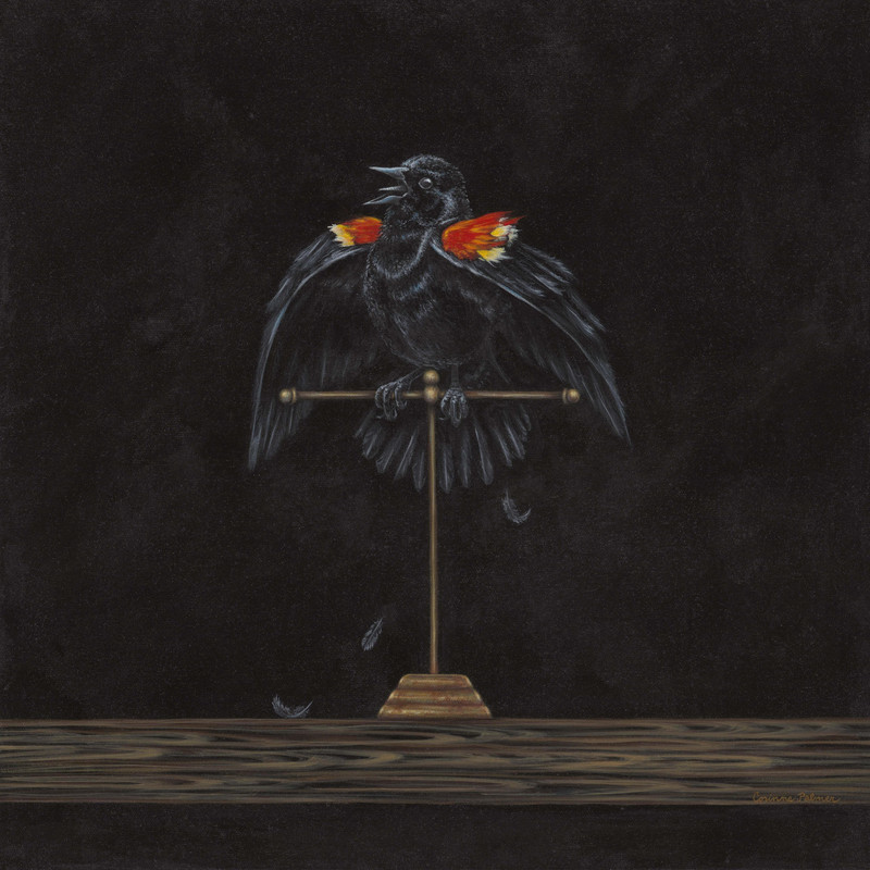 For Whom The Bird Calls