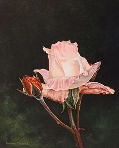 December Rose