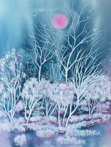Winter Blues
