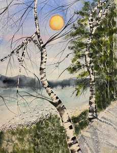 Two Birches at Old Orchard Park