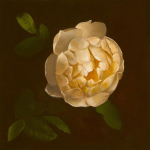 Golden Rose