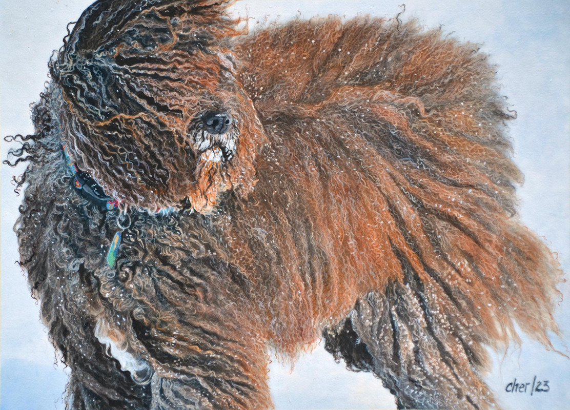 Winter Wind