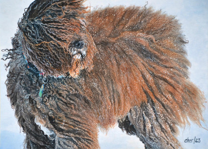 Winter Wind