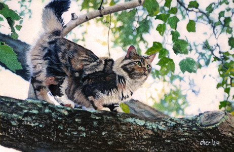 On The Prowl