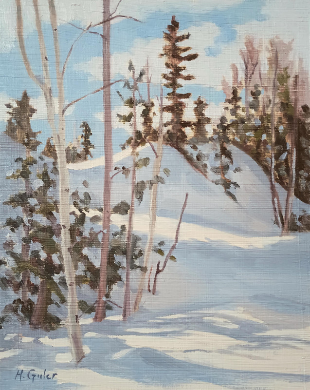 Sunlight on Snow