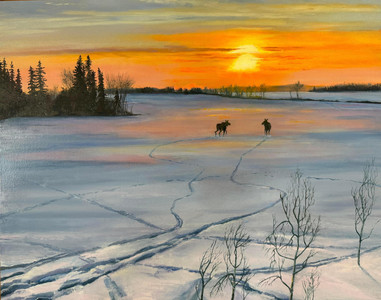 Tracks and Long Shadows