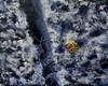 View #1