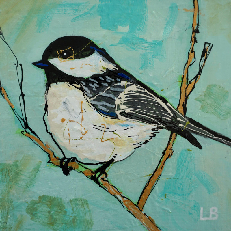 Chubby Chickadee