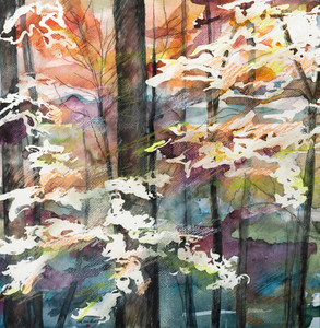 OKANAGAN WATERCOLOURS FINAL 20 x 20 Arrowhead Illustrations by Ann June 2023