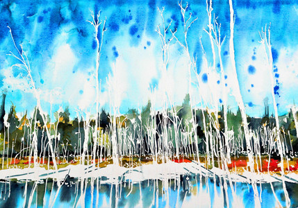 OKANAGAN WATERCOLOURS FINAL Bala Cranberry Marsh 28 x 40 Illustrations by Ann May 2021