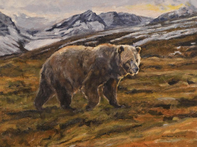 Barren Ground Grizzly