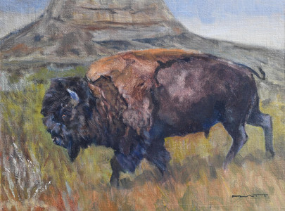 Bison and butte