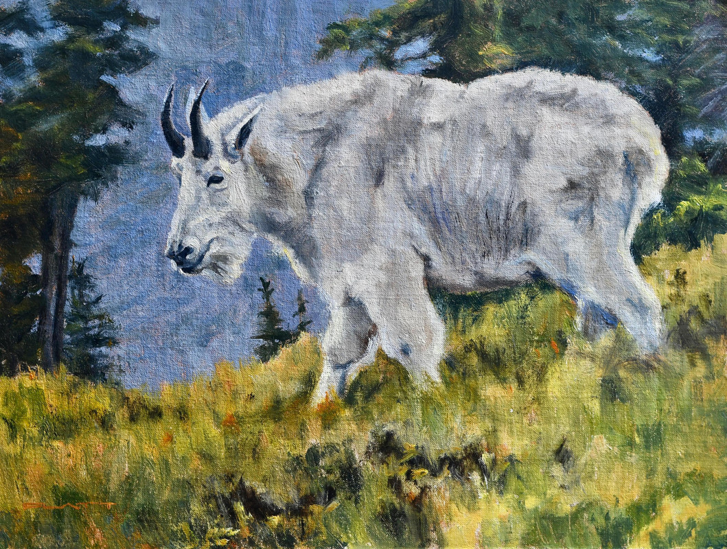 Glacier Mountain Goat