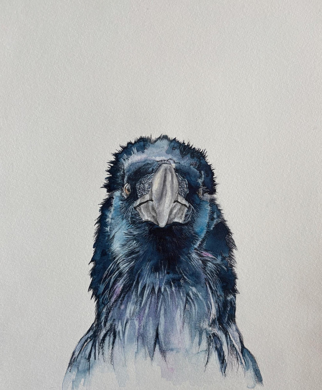 The Watcher
