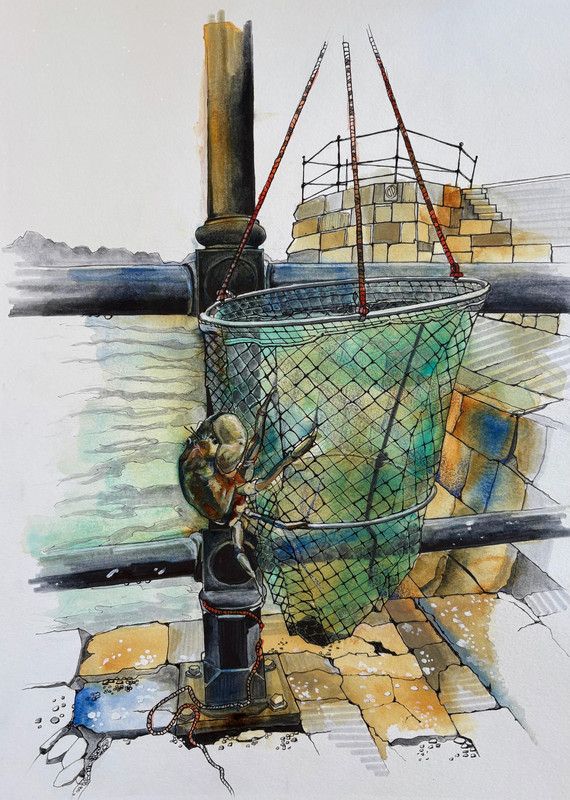 Crab Fishing, North Berwick