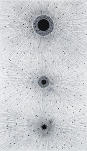 Black Hole Mysteries