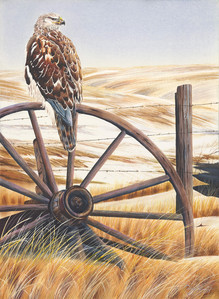 Guardian of the Prairie