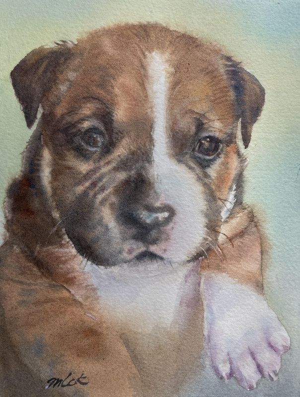 A puppy named Goose