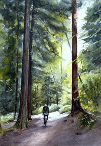 In the Forest