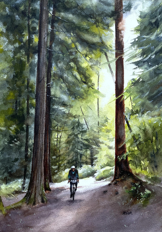 In the Forest