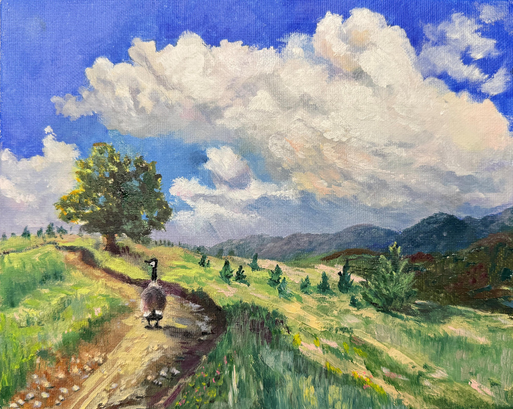 Along The Meadow Path