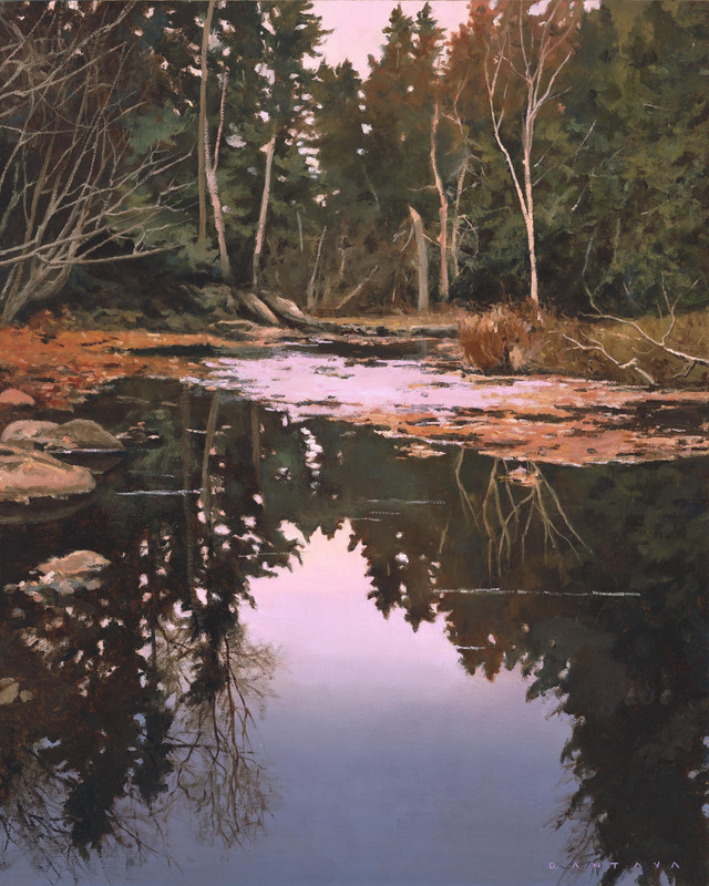 Evening Serenity