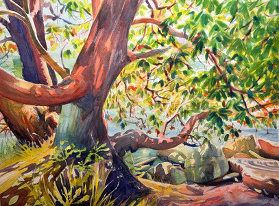 Tango on Saltspring