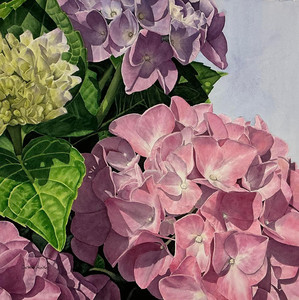 Bloom After Bloom