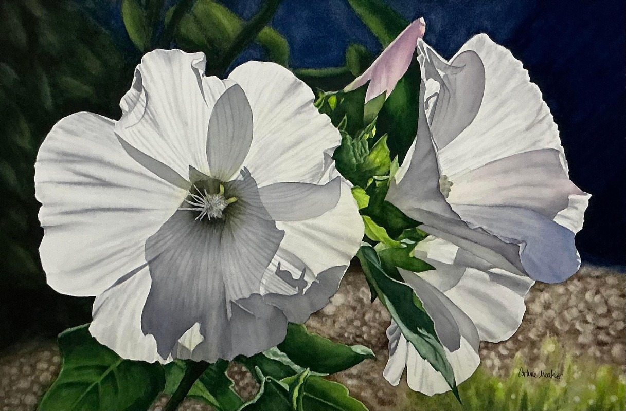 Peaceful in its Radiance