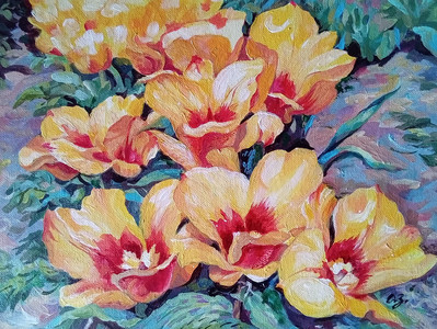 Hearts of Gold Tulips