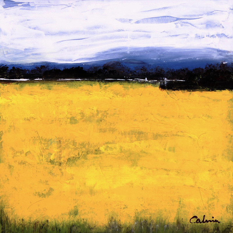 Golden wheat fields