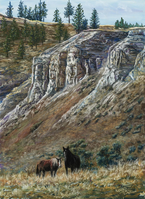 Clay Cliffs - Wild Horses 1