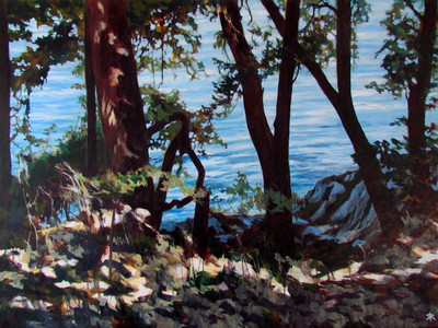 Salt Spring Shore