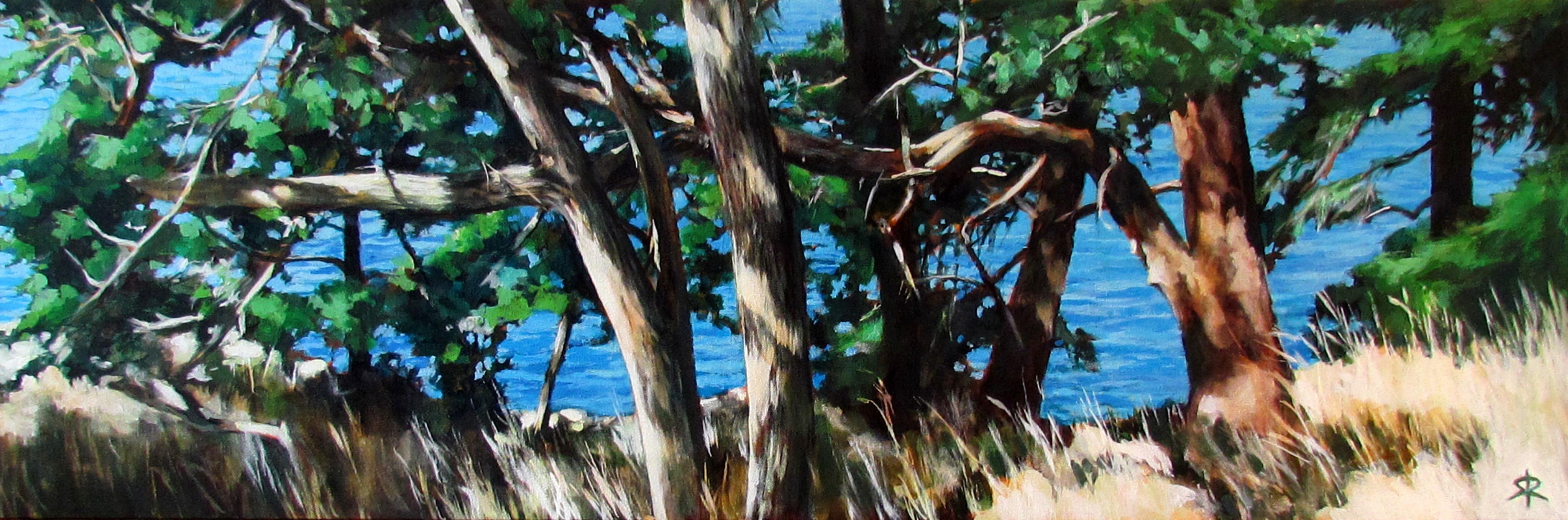 Salt Spring Water