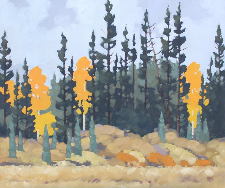 #258-Moncrieff's Meadow