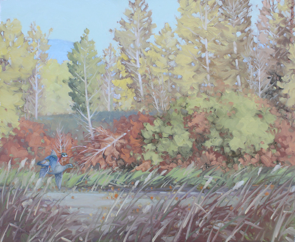 #481-Near Creston, BC