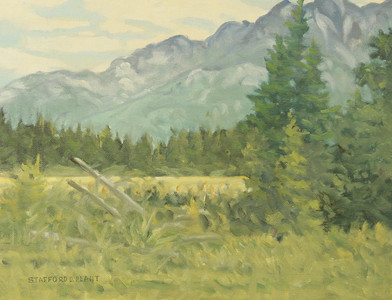 #1043 - Sub Alpine Meadow, Coast Mountains