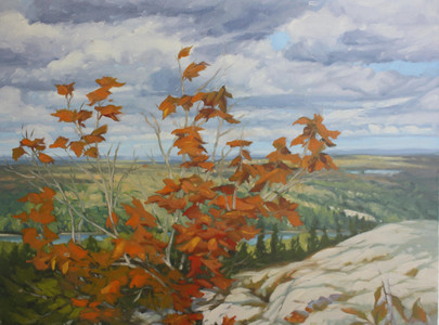 #705-Young Maples, LaCloche Mountain