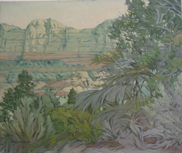 #925-Painted Canyons/Coconino Nat. Forest,Sedona