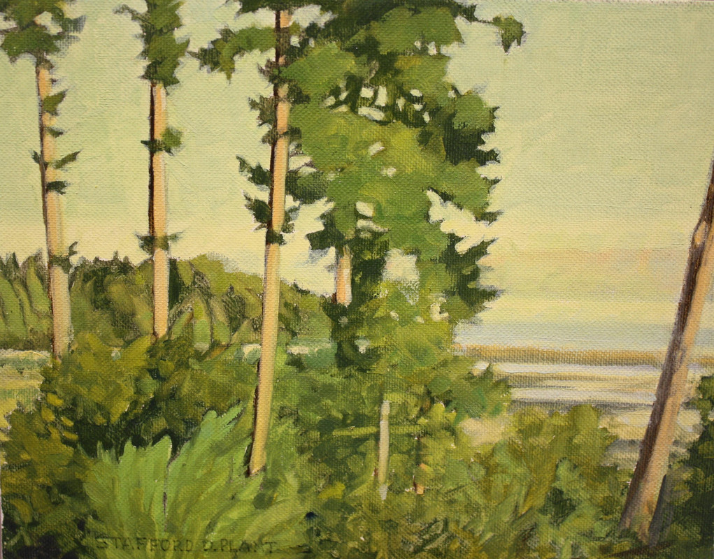 #1064-Roteador Beach, Parksville, V.I.
