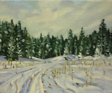 #858-First Snow/Hope-Princton Hwy