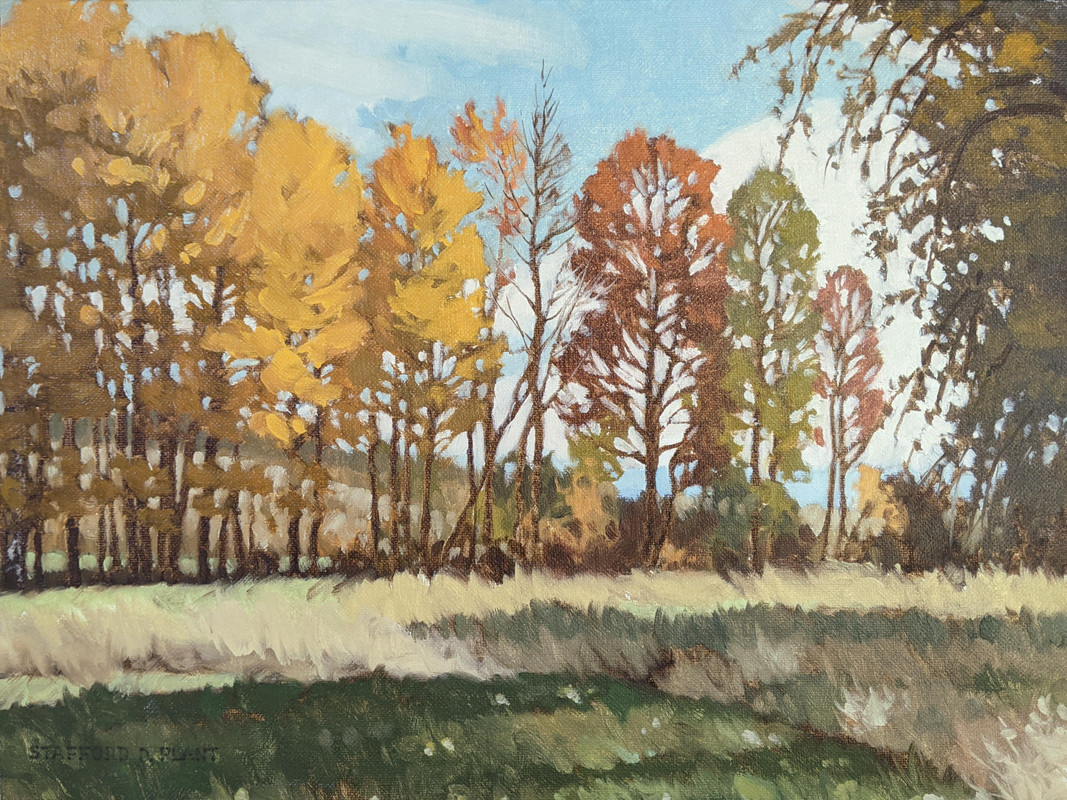 #439-Beyond Courtney Lake