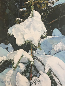 Snow Ice